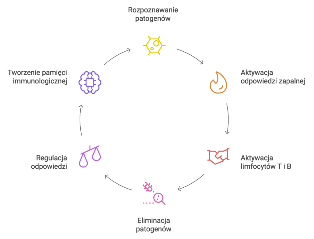 odpowiedź immunologiczna, odporność